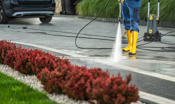 Best Sidewalk and Walkway Cleaning  in Montevlo, AL